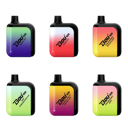 Bou Pro 7000 Kit Rechargeable