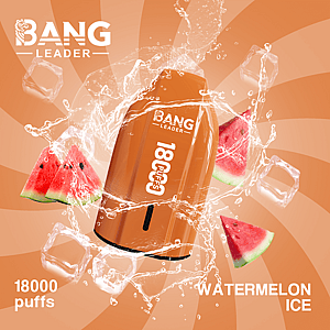 Bang Leader 18K Disposable Vape – Pure Flavor | 18,000 Puffs | Porsche Design | Smooth Taste